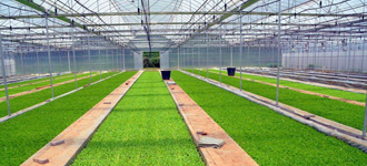 關(guān)于天潤(rùn)